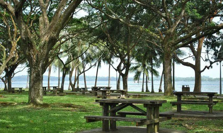 Ang Mo Kio Linear Park & Luxus Hills Park