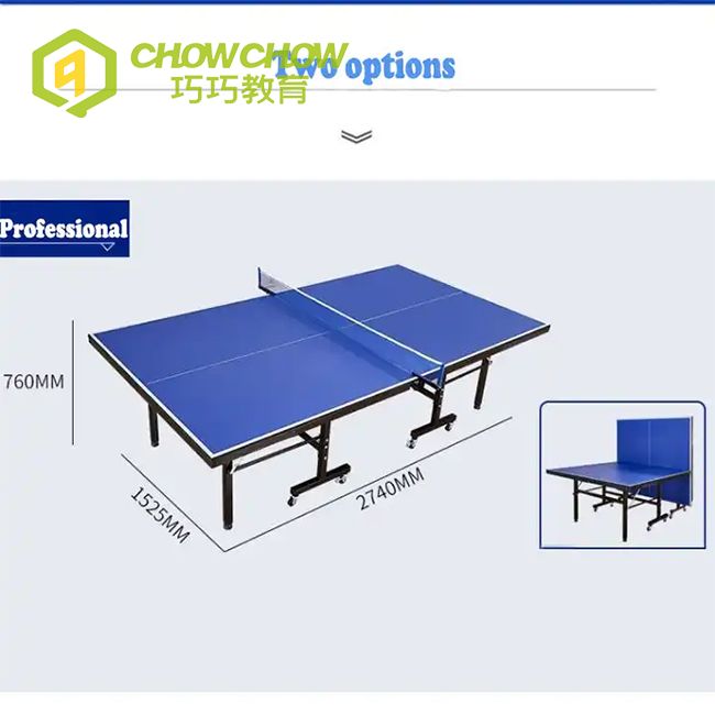 Foldable Table Tennis Table Removable Professional Tennis Tables For Sale