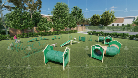 How to build a playground for your dog at home (3).jpg