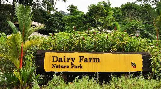 Dairy Farm Nature Park