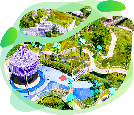 Songyang Flower Blooms