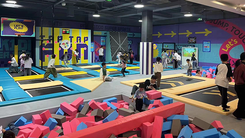 What are the revenue contents of indoor trampoline park & children play park