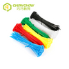  Indoor Playground Colorful Nylon Cable Tie Self-Locking Plastic Zip Ties