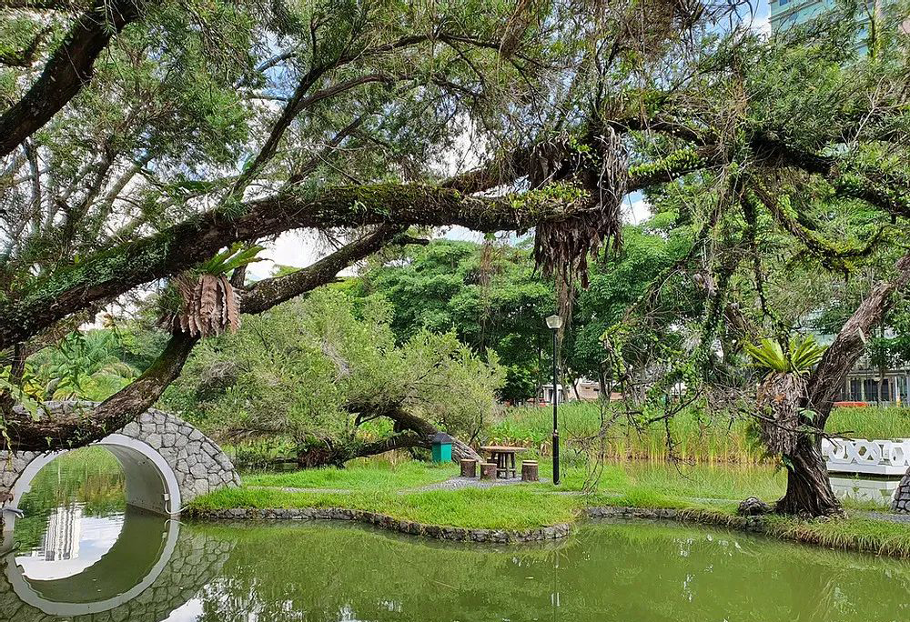 Toa Payoh Town Park